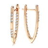 Elegant Zirconia Earrings