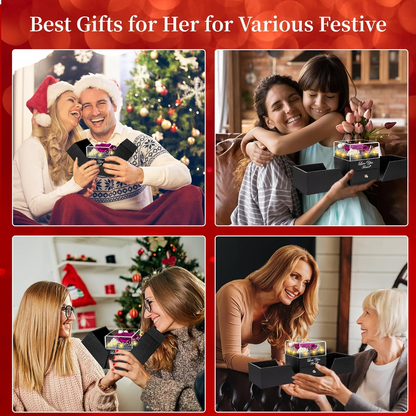 Preserved Red Real Rose with Heart I Love You Necklace